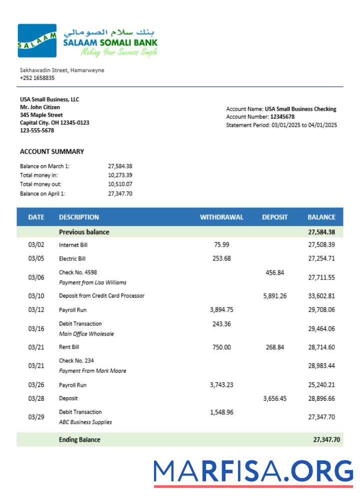 Realistic Somali Salaam Somali bank business checking account statement Word and PDF template